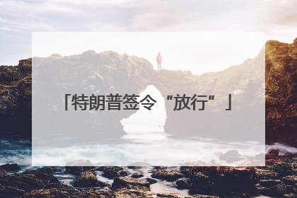特朗普签令“放行”