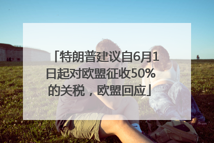 特朗普建议自6月1日起对欧盟征收50%的关税，欧盟回应