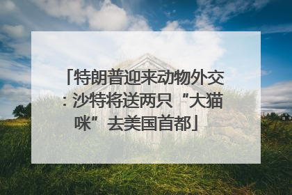 特朗普迎来动物外交：沙特将送两只“大猫咪”去美国首都