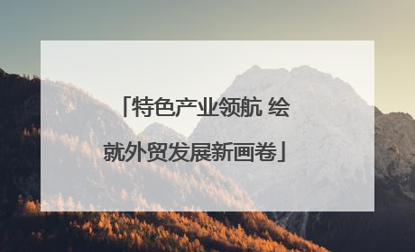 特色产业领航 绘就外贸发展新画卷