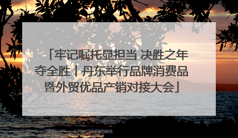 牢记嘱托显担当 决胜之年夺全胜丨丹东举行品牌消费品暨外贸优品产销对接大会