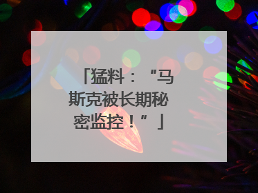 猛料：“马斯克被长期秘密监控！”