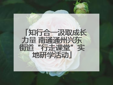 知行合一汲取成长力量 南通通州兴东街道“行走课堂”实地研学活动