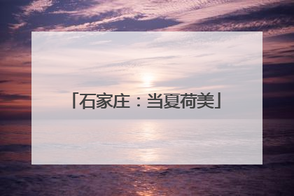 石家庄：当夏荷美