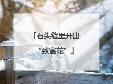 石头缝里开出“致富花”