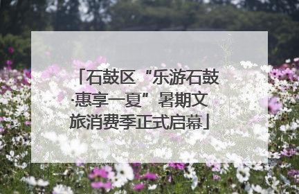 石鼓区“乐游石鼓·惠享一夏”暑期文旅消费季正式启幕
