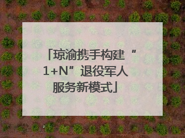 琼渝携手构建“1+N”退役军人服务新模式