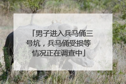 男子进入兵马俑三号坑，兵马俑受损等情况正在调查中