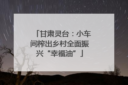 甘肃灵台：小车间榨出乡村全面振兴“幸福油”