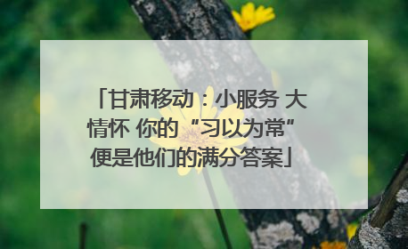 甘肃移动：小服务 大情怀 你的“习以为常”便是他们的满分答案