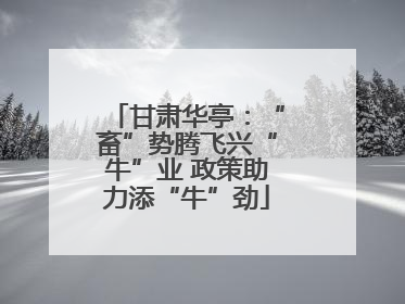 甘肃华亭：“畜”势腾飞兴“牛”业 政策助力添“牛”劲