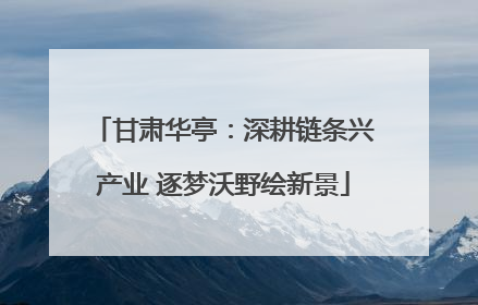 甘肃华亭：深耕链条兴产业 逐梦沃野绘新景