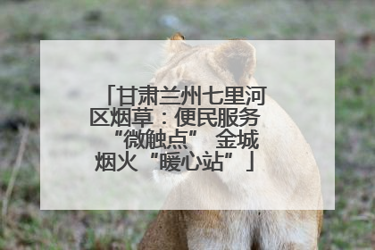甘肃兰州七里河区烟草：便民服务“微触点” 金城烟火“暖心站”