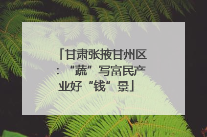 甘肃张掖甘州区：“蔬”写富民产业好“钱”景