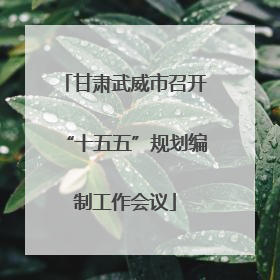 甘肃武威市召开“十五五”规划编制工作会议