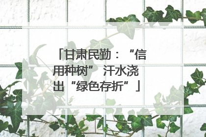甘肃民勤：“信用种树” 汗水浇出“绿色存折”