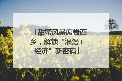 甜蜜风暴席卷西乡，解锁“浪漫+经济”新密码