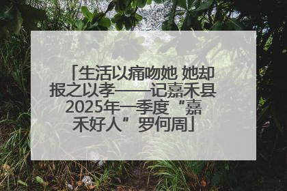 生活以痛吻她 她却报之以孝——记嘉禾县2025年一季度“嘉禾好人”罗何周