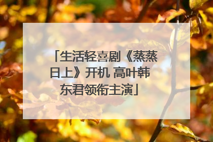 生活轻喜剧《蒸蒸日上》开机 高叶韩东君领衔主演