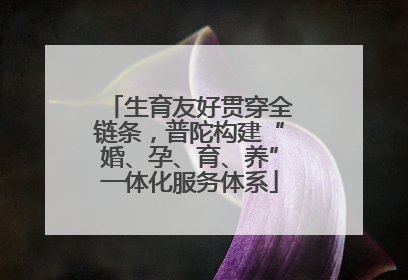生育友好贯穿全链条，普陀构建“婚、孕、育、养”一体化服务体系
