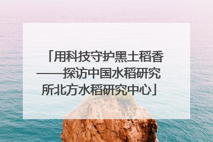 用科技守护黑土稻香——探访中国水稻研究所北方水稻研究中心