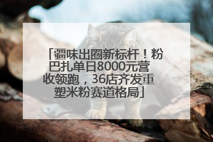 疆味出圈新标杆！粉巴扎单日8000元营收领跑，36店齐发重塑米粉赛道格局