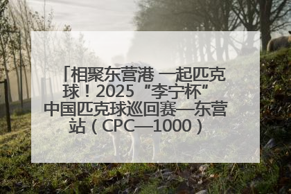 相聚东营港 一起匹克球！2025“李宁杯”中国匹克球巡回赛—东营站（CPC—1000）暨“好运山东”黄河口匹克球公开赛落幕