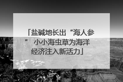 盐碱地长出“海人参” 小小海虫草为海洋经济注入新活力