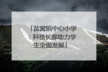 盐窝镇中心小学：科技长廊助力学生全面发展