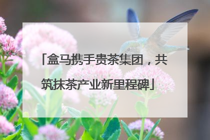 盒马携手贵茶集团，共筑抹茶产业新里程碑