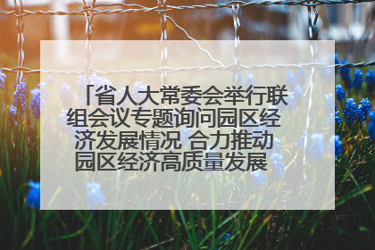 省人大常委会举行联组会议专题询问园区经济发展情况 合力推动园区经济高质量发展 王宁主持会议并讲话 王予波带队到会应询