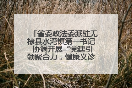 省委政法委派驻无棣县水湾镇第一书记 协调开展“党建引领聚合力，健康义诊惠乡亲”义诊活动