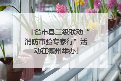 省市县三级联动“消防审验专家行”活动在德州举办