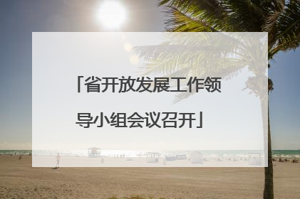 省开放发展工作领导小组会议召开