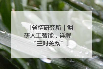 省情研究所｜调研人工智能，详解“三对关系”