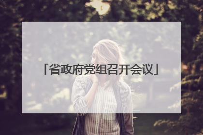 省政府党组召开会议