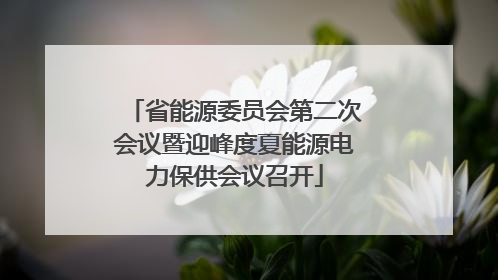 省能源委员会第二次会议暨迎峰度夏能源电力保供会议召开