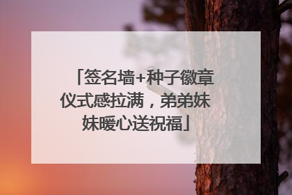 签名墙+种子徽章仪式感拉满，弟弟妹妹暖心送祝福