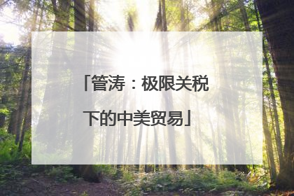管涛：极限关税下的中美贸易