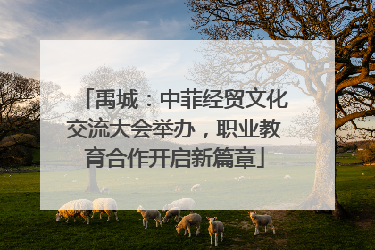 禹城：中菲经贸文化交流大会举办，职业教育合作开启新篇章