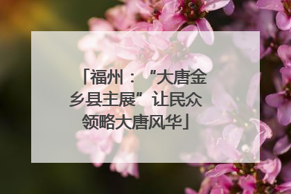 福州：“大唐金乡县主展”让民众领略大唐风华