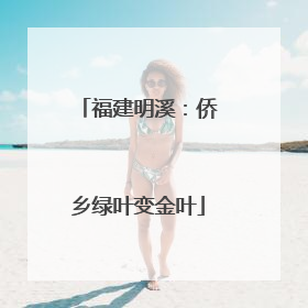 福建明溪：侨乡绿叶变金叶