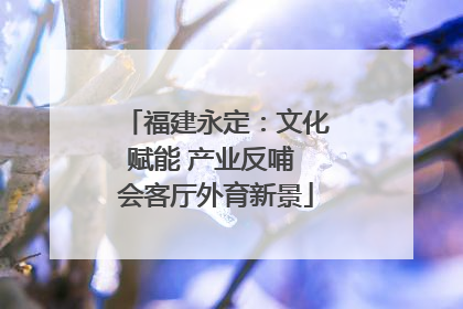 福建永定：文化赋能 产业反哺 会客厅外育新景