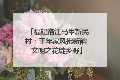 福建洛江马甲新民村：千年家风拂新韵 文明之花绽乡野