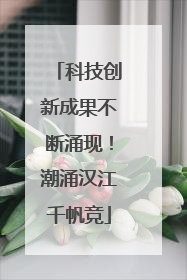 科技创新成果不断涌现！潮涌汉江千帆竞