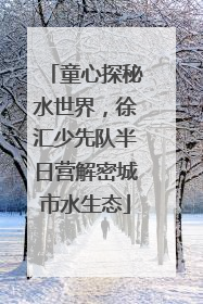 童心探秘水世界，徐汇少先队半日营解密城市水生态