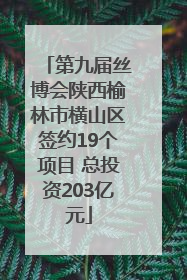 第九届丝博会陕西榆林市横山区签约19个项目 总投资203亿元