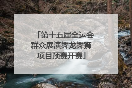 第十五届全运会群众展演舞龙舞狮项目预赛开赛
