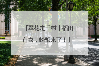 翠花走千村丨稻田有喜，螃蟹来了！