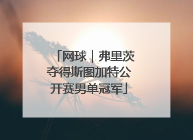 网球｜弗里茨夺得斯图加特公开赛男单冠军